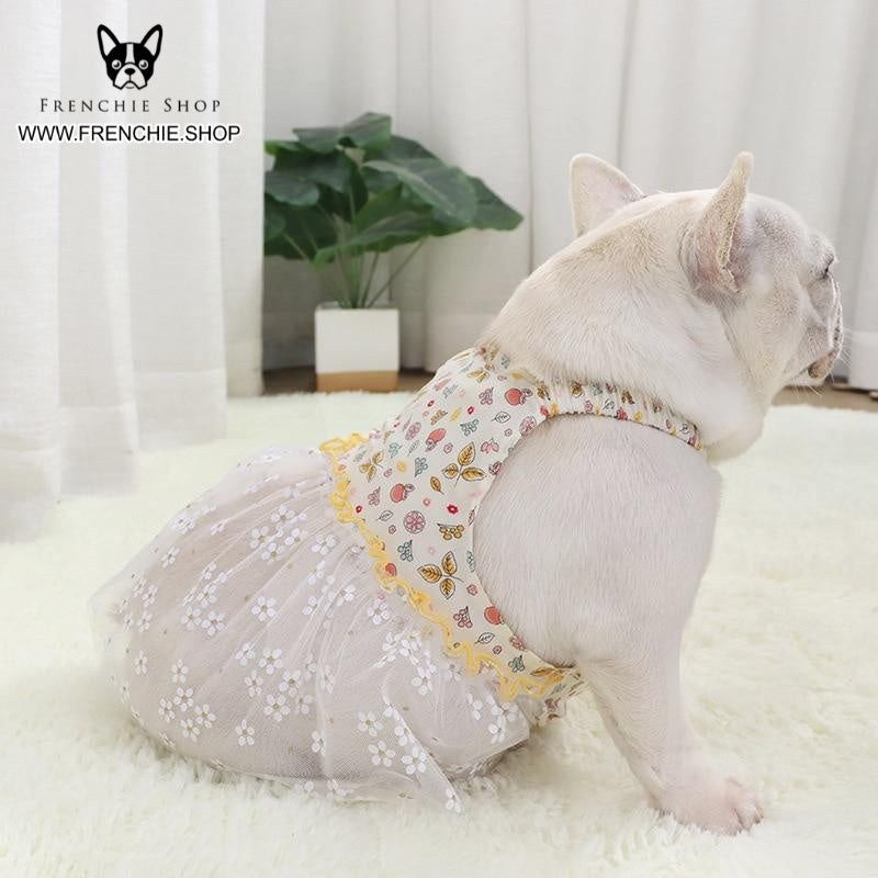 Fruit French Bulldog Accessory for Frenchie Enthusiasts-fadou