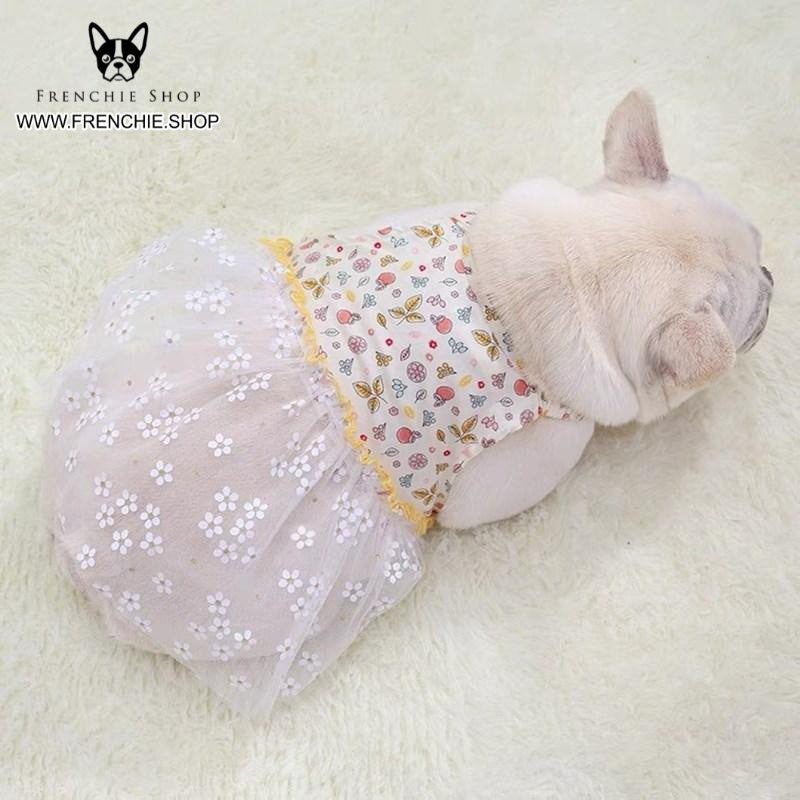 Fruit French Bulldog Accessory for Frenchie Enthusiasts-fadou