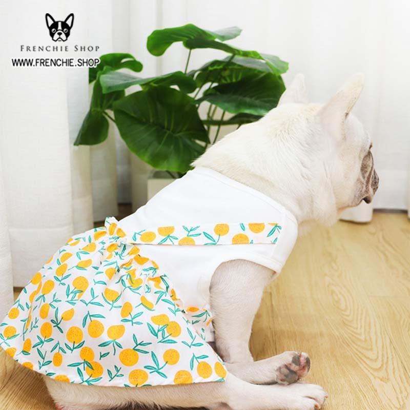 French Bulldog Summer Pet Dress for Brachycephalic Dogs-fadou