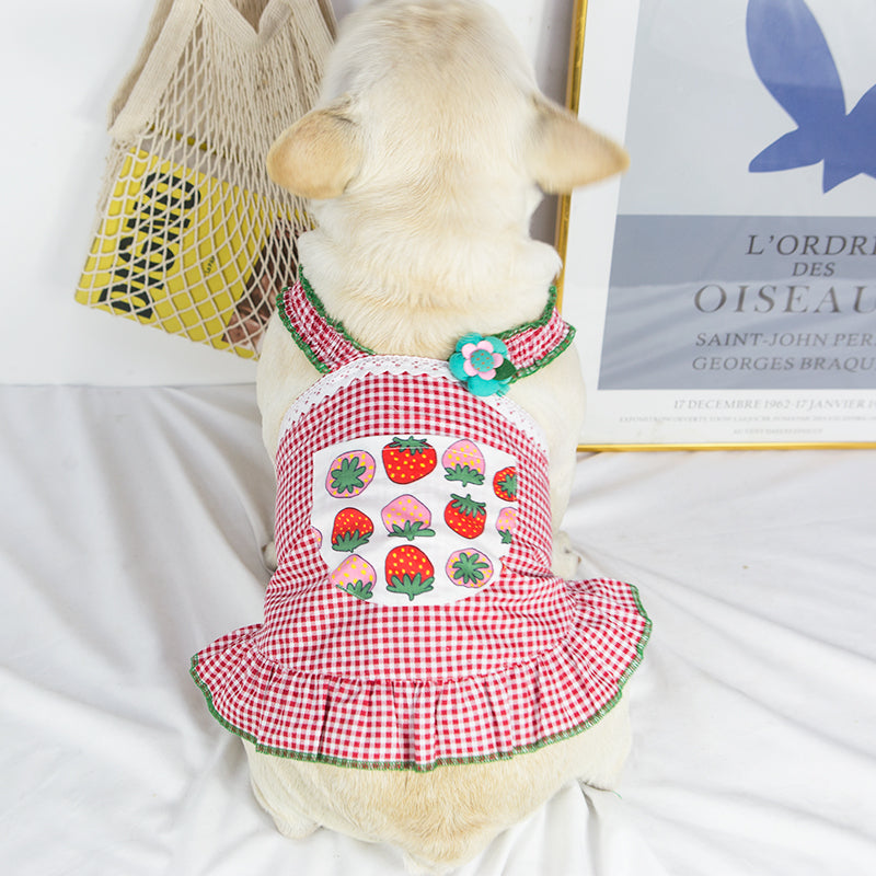 Queen French Bulldog Accessory for Frenchie Enthusiasts-fadou