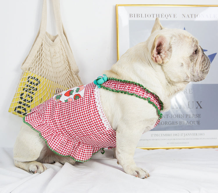 Queen French Bulldog Accessory for Frenchie Enthusiasts-fadou