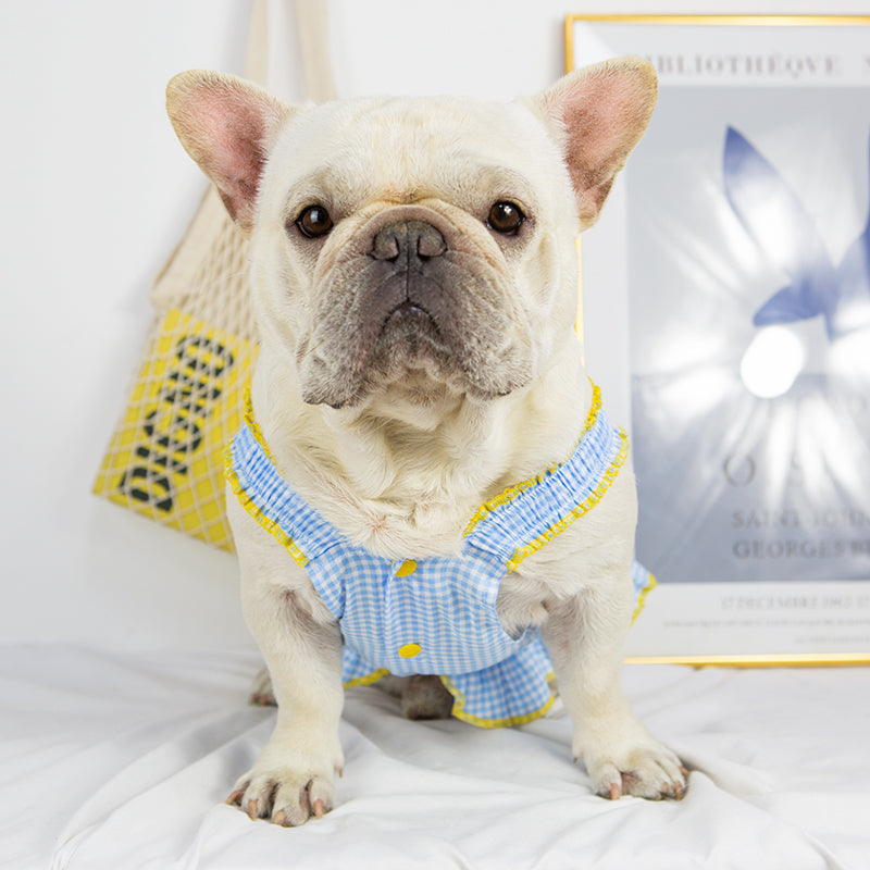 Queen French Bulldog Accessory for Frenchie Enthusiasts-fadou