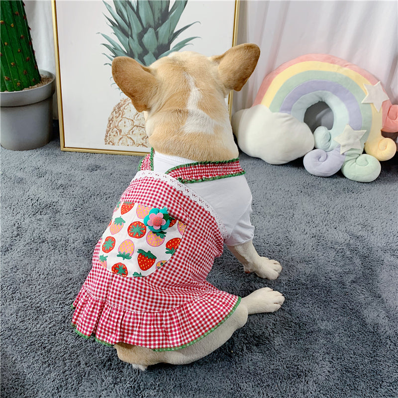 Queen French Bulldog Accessory for Frenchie Enthusiasts-fadou