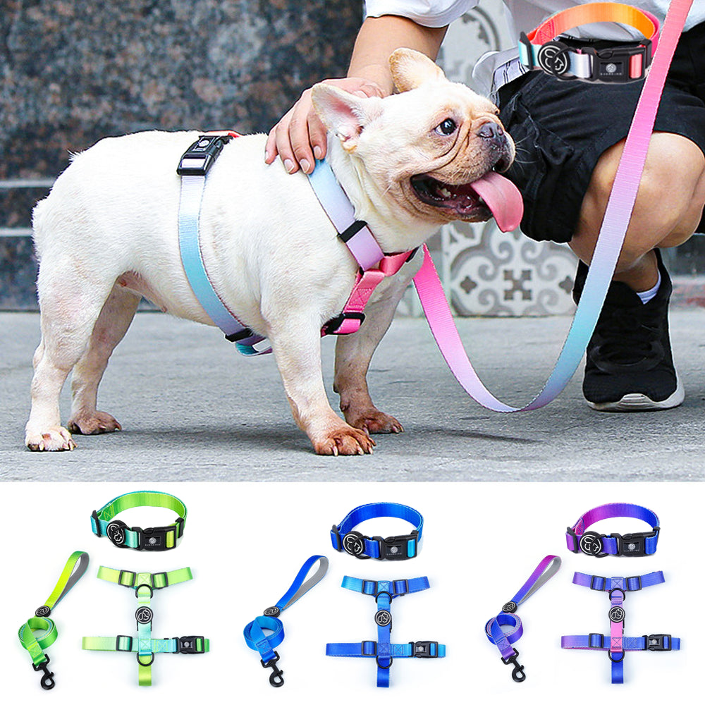 French Bulldog Gradient Chest Harness for Short-Nosed Dogs-fadou