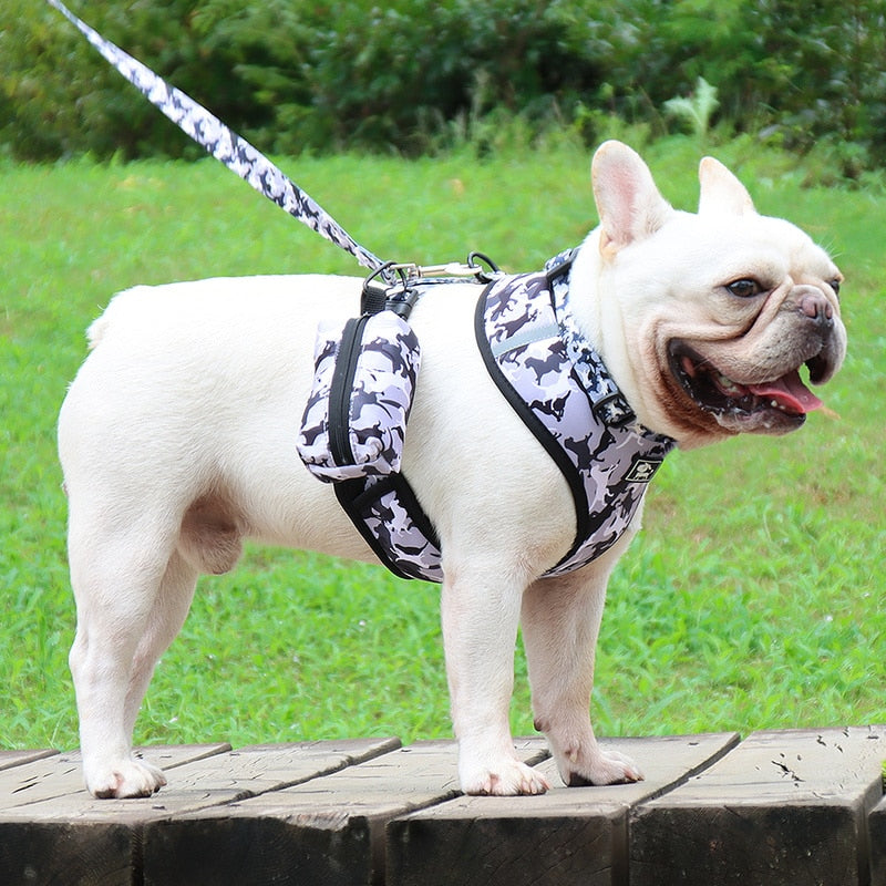 Frenchie Adjustable No-Pull Vest for Outdoor Adventures-fadou