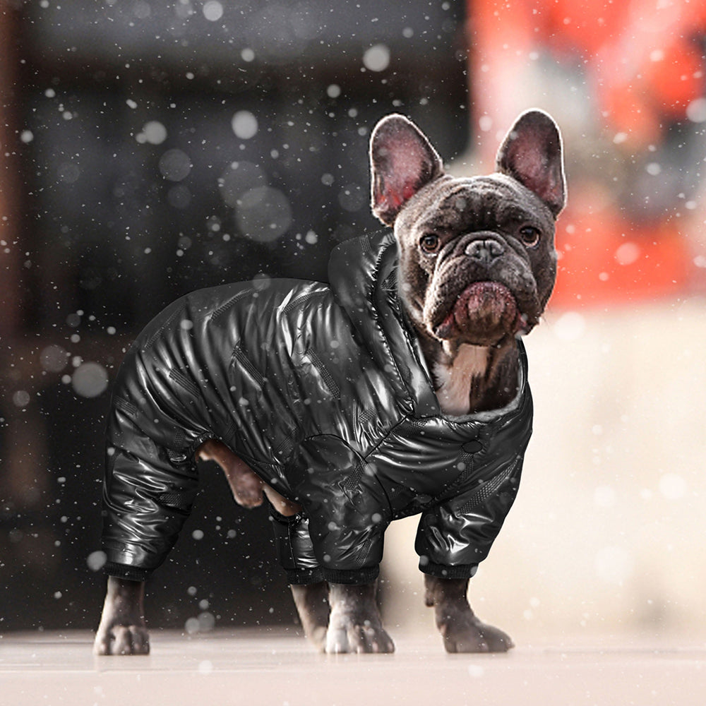 French Bulldog Winter Pet Parent Pullover for Pet Culture-fadou