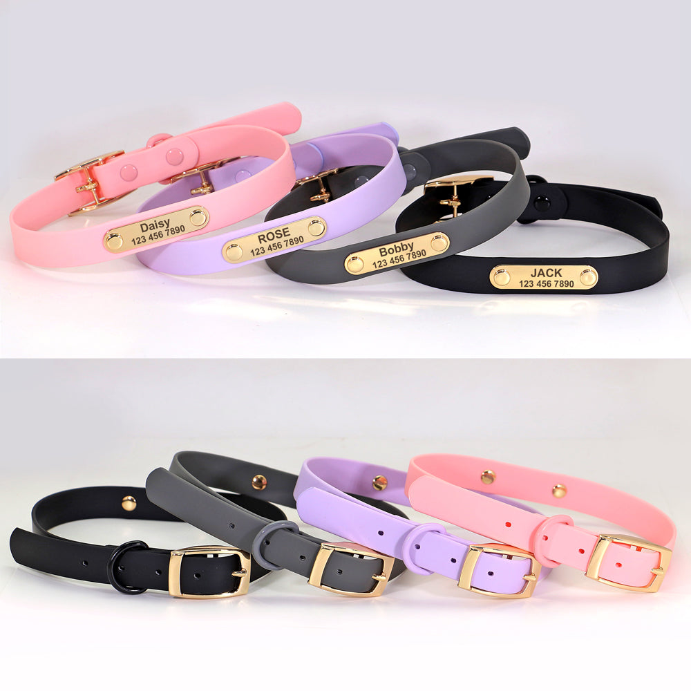 Frenchie Custom Adjustable Collar for Outdoor Adventures-fadou
