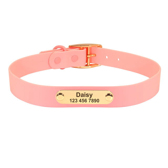 Frenchie Custom Adjustable Collar for Outdoor Adventures-fadou