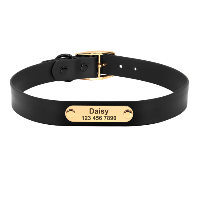 Frenchie Custom Adjustable Collar for Outdoor Adventures-fadou