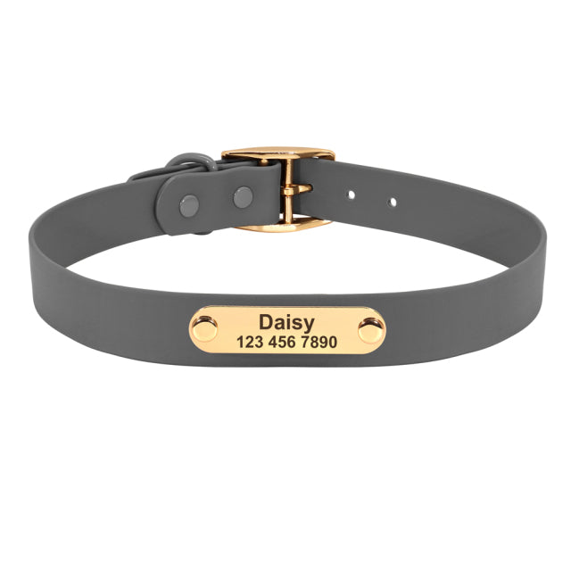 Frenchie Custom Adjustable Collar for Outdoor Adventures-fadou