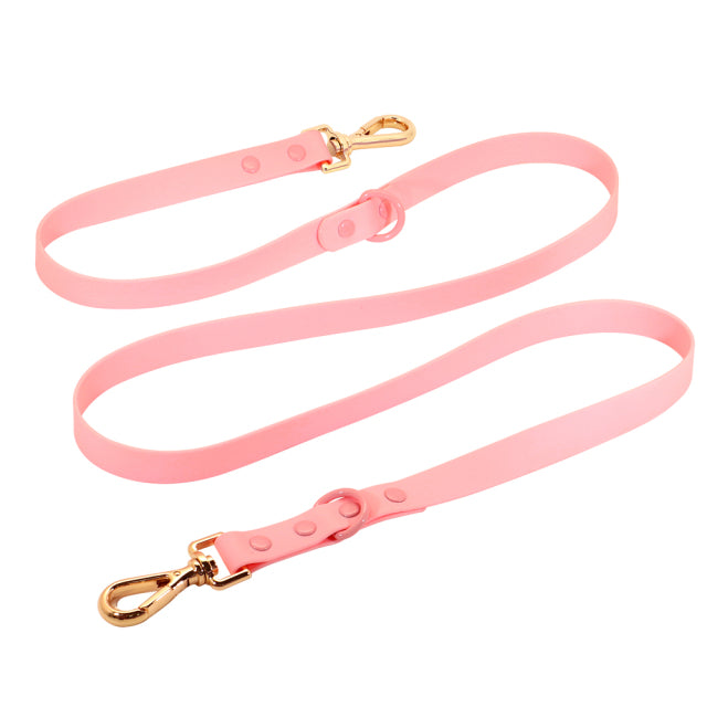 Frenchie Custom Adjustable Collar for Outdoor Adventures-fadou