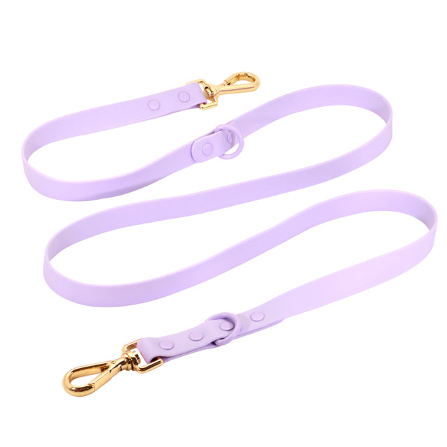 Frenchie Custom Adjustable Collar for Outdoor Adventures-fadou