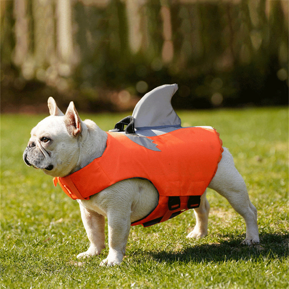 French Bulldog Reflective Beach Swimwear for Bulldog Owners-fadou