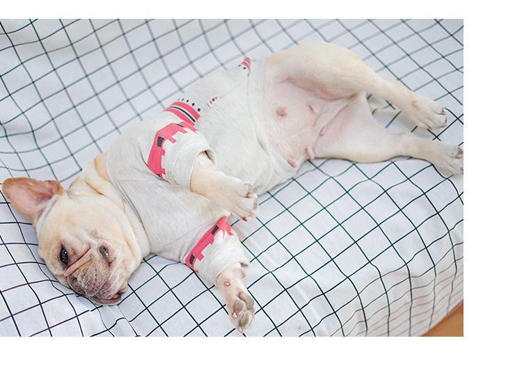 French Bulldog Cotton Dog Outfit for Outdoor Adventures-fadou