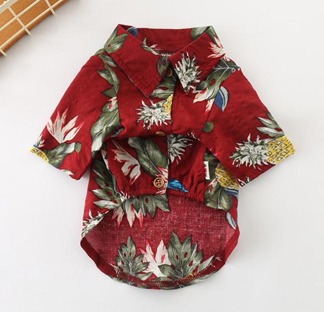 French Bulldog Summer Cotton Tee for Outdoor Adventures-fadou