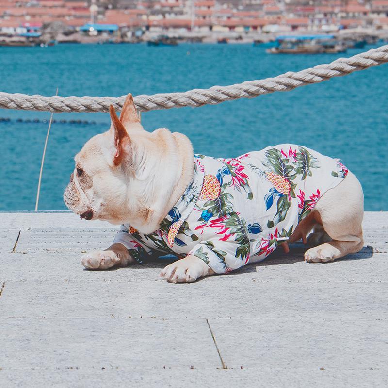 French Bulldog Summer Cotton Tee for Outdoor Adventures-fadou
