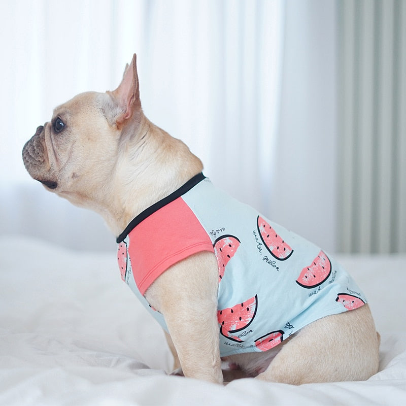 Watermelon French Bulldog Accessory for Frenchie Enthusiasts-fadou