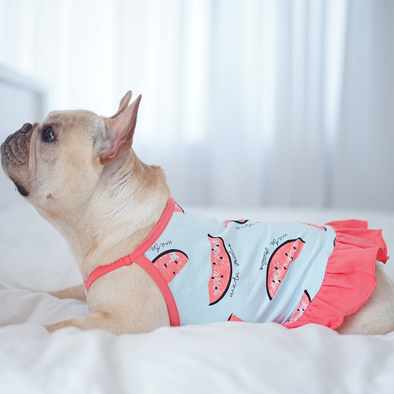 Watermelon French Bulldog Accessory for Frenchie Enthusiasts-fadou
