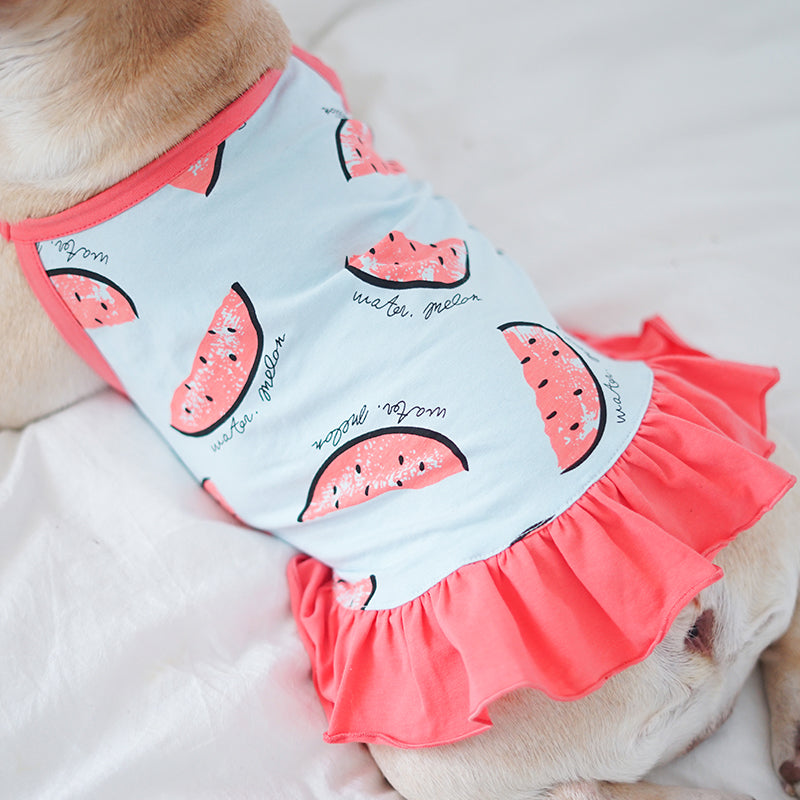 Watermelon French Bulldog Accessory for Frenchie Enthusiasts-fadou