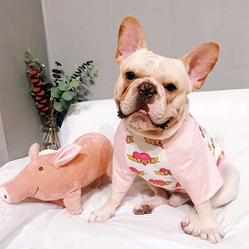 French Bulldog Summer Dog Accessory for Training Sessions-fadou
