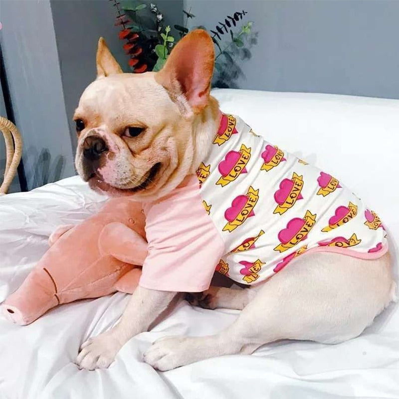 French Bulldog Summer Dog Accessory for Training Sessions-fadou
