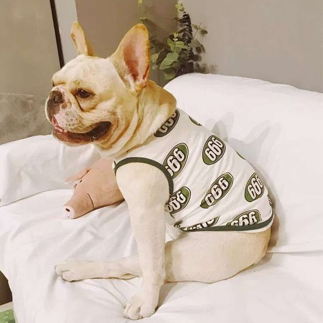 French Bulldog Summer Dog Accessory for Training Sessions-fadou