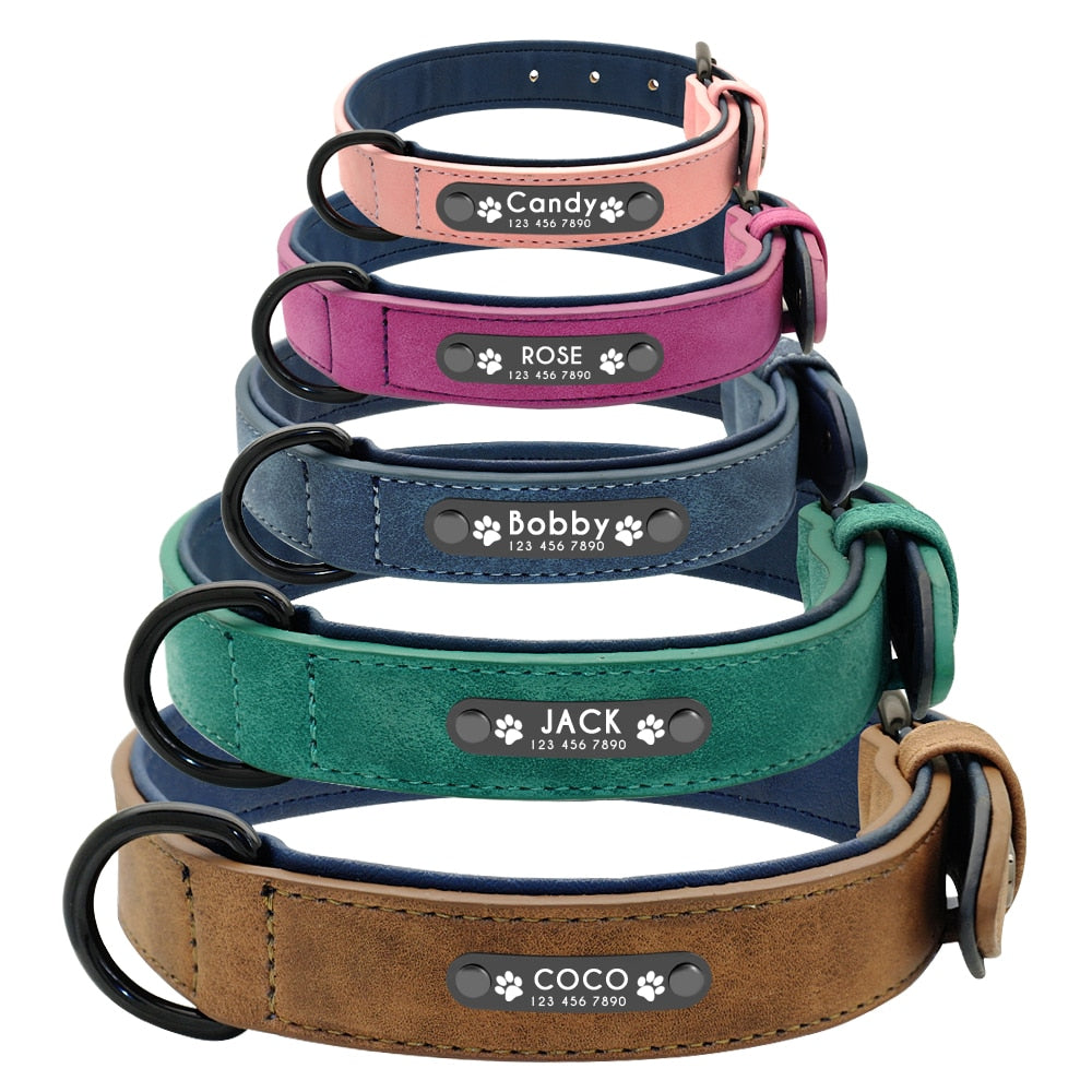 Personalised French Bulldog Dog Collar for Outdoor Adventures-fadou