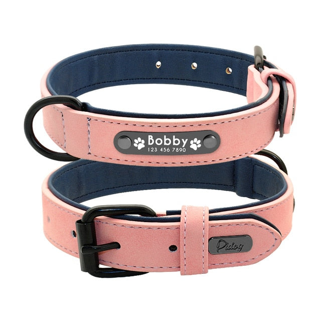 Personalised French Bulldog Dog Collar for Outdoor Adventures-fadou