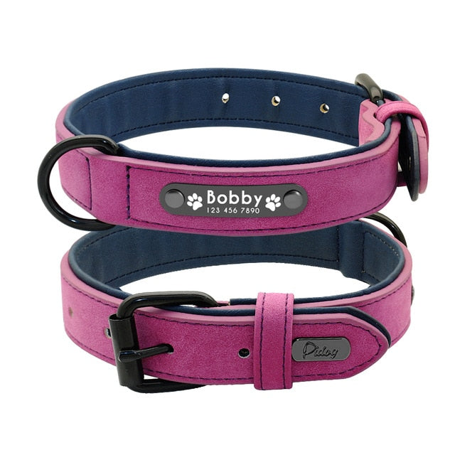 Personalised French Bulldog Dog Collar for Outdoor Adventures-fadou