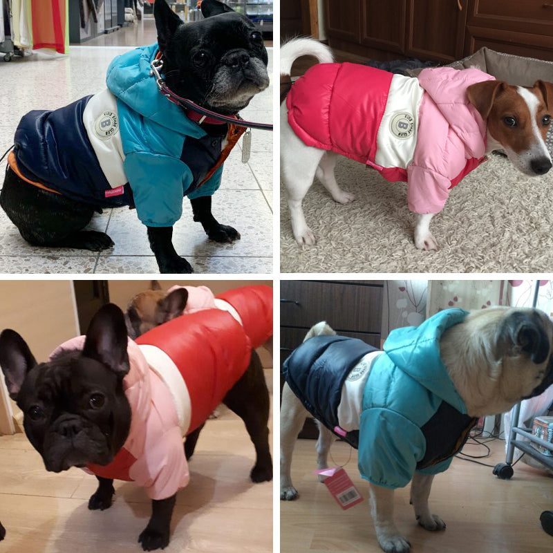 French Bulldog Waterproof Winter Jacket for Outdoor Adventures-fadou