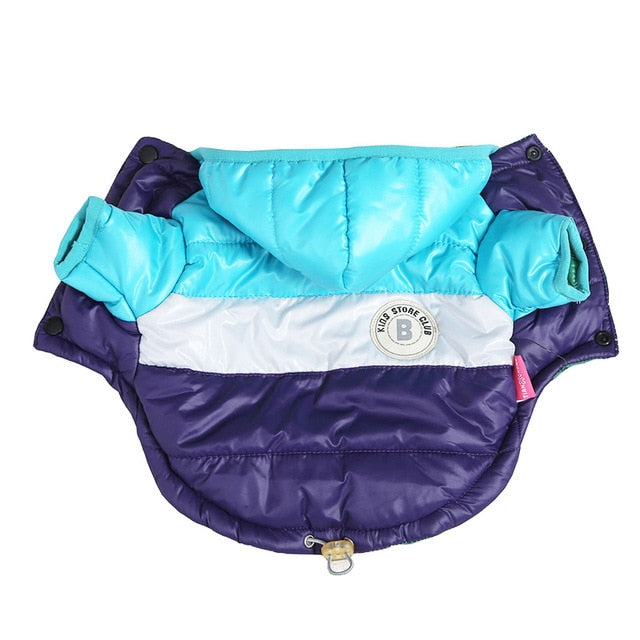 French Bulldog Waterproof Winter Jacket for Outdoor Adventures-fadou