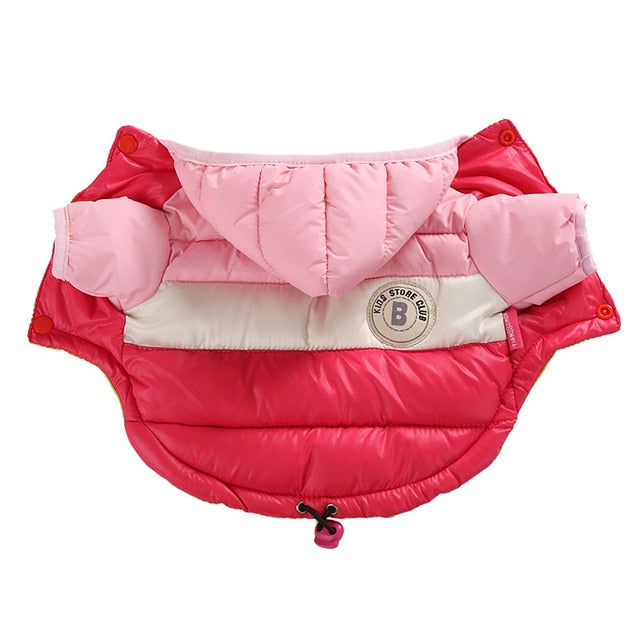 French Bulldog Waterproof Winter Jacket for Outdoor Adventures-fadou