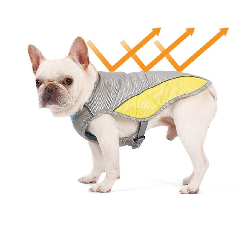 Coolify™ : Cooling Vest for Frenchie for Dog Moms & Dads-fadou