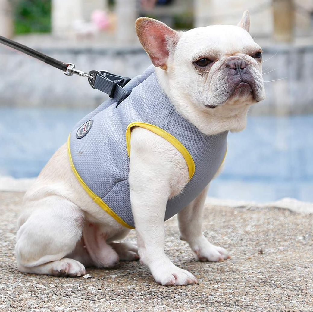 French Bulldog Cooling Walking Harness for French Bulldogs-fadou