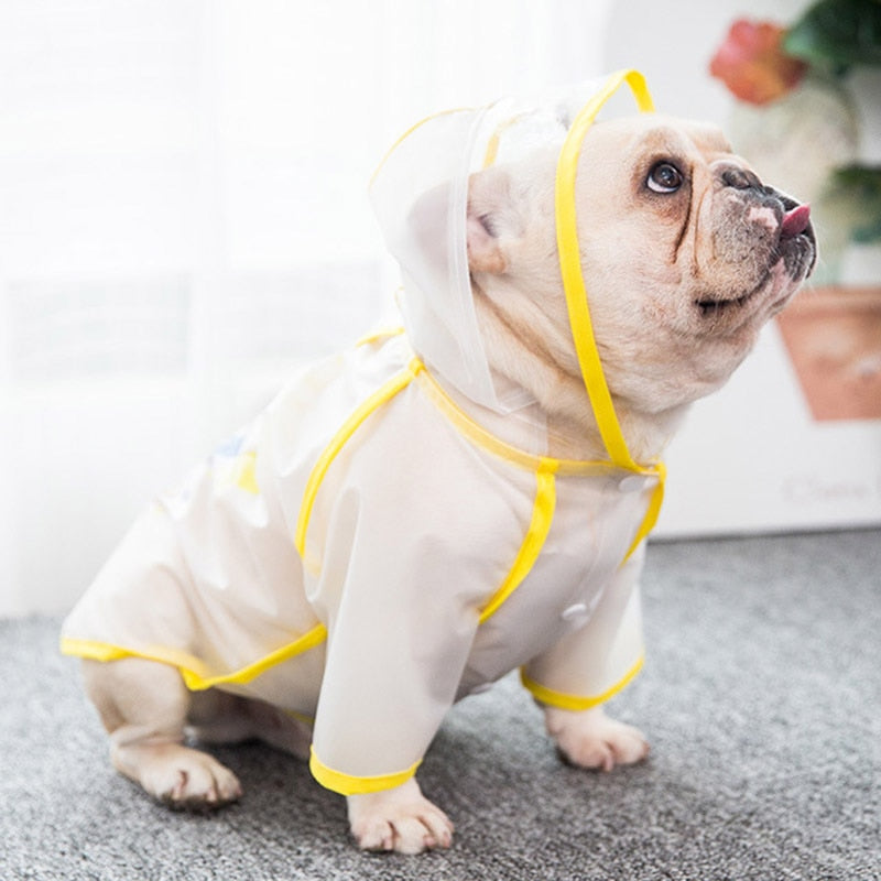 Oscar French Bulldog Weather Shield for French Bulldogs-fadou