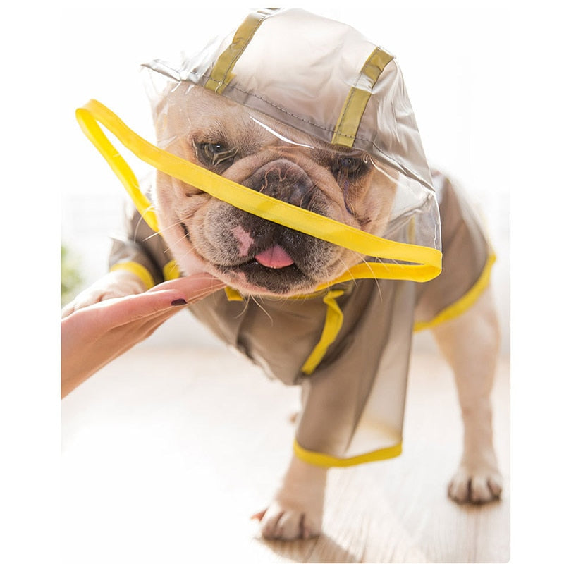 Oscar French Bulldog Weather Shield for French Bulldogs-fadou