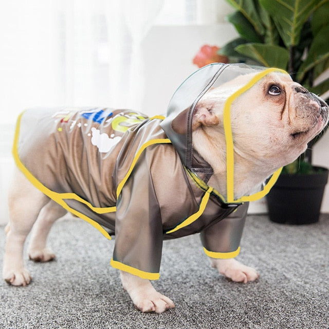 Oscar French Bulldog Weather Shield for French Bulldogs-fadou