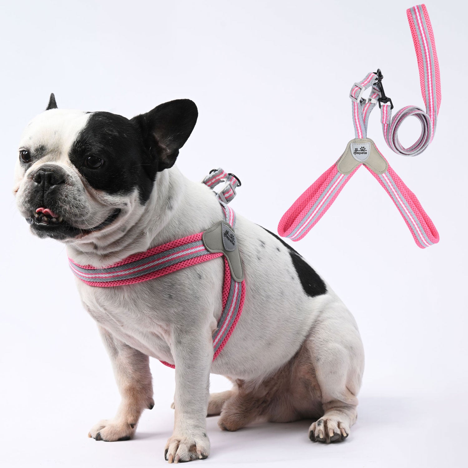 LeashLock No-Pull Walking Harness for Training Sessions-fadou