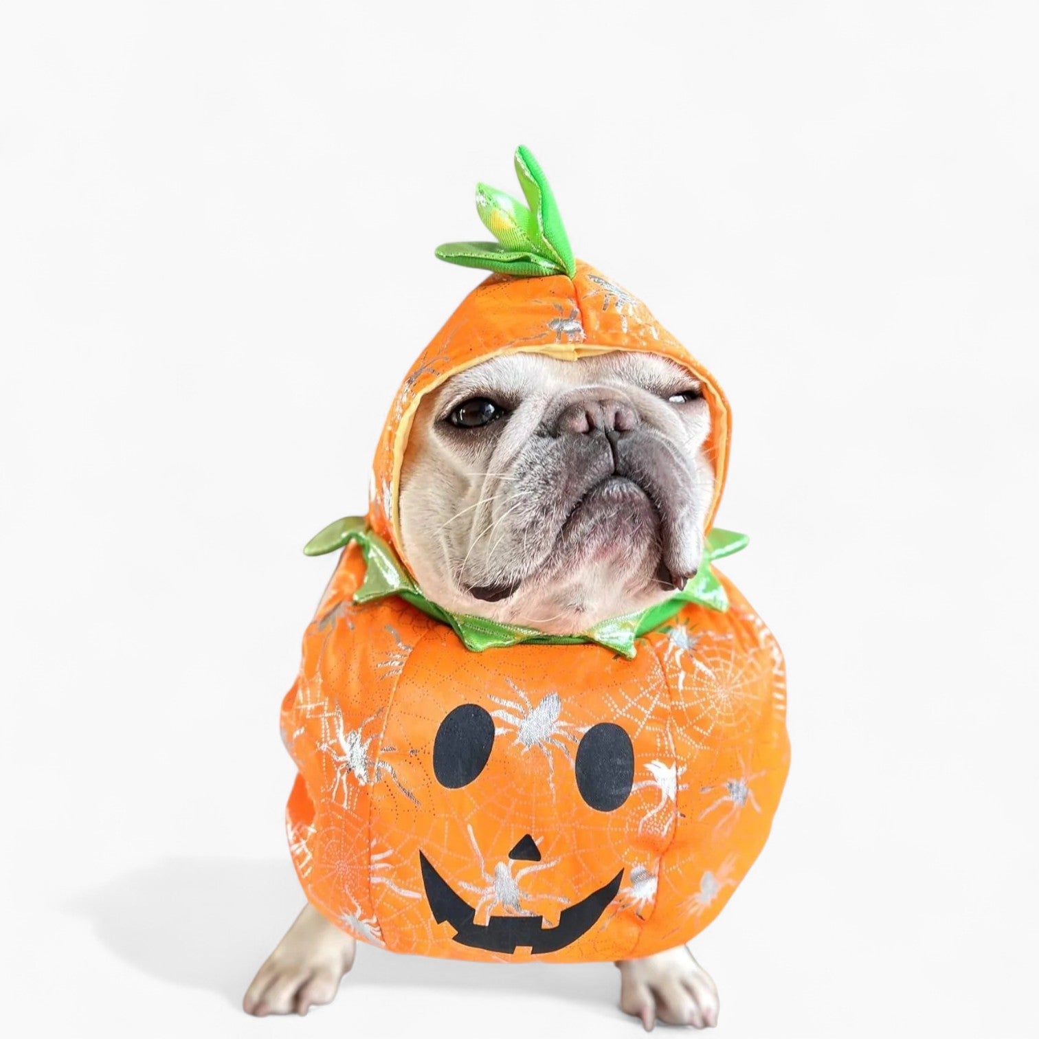 French Bulldog Adjustable Sun Headwear for Training Sessions-fadou