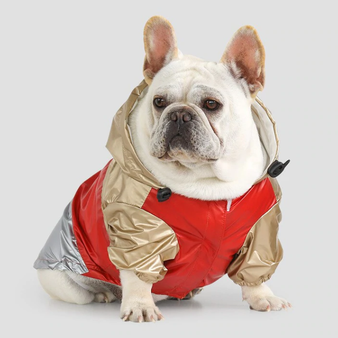 Classy™ French Bulldog Raincoat for Brachycephalic Dogs-fadou