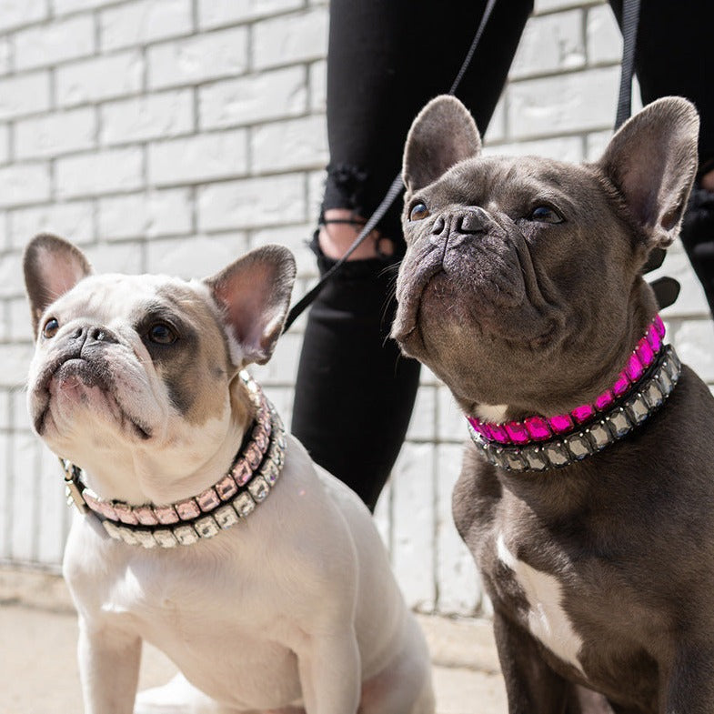 French Bulldog Luxury ID Collar for Brachycephalic Dogs-fadou