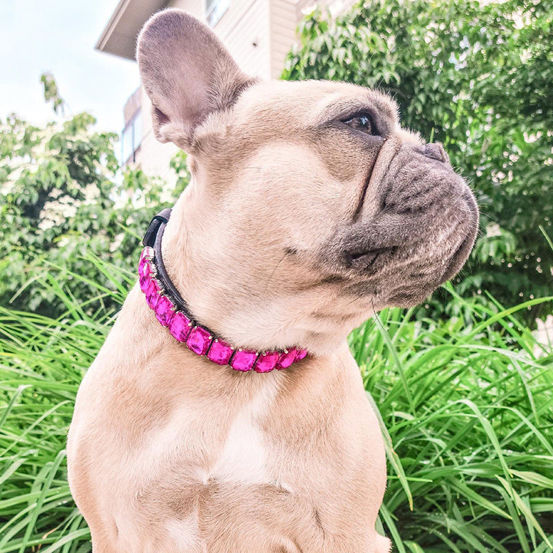 French Bulldog Luxury ID Collar for Brachycephalic Dogs-fadou
