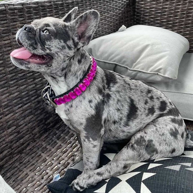 French Bulldog Luxury ID Collar for Brachycephalic Dogs-fadou