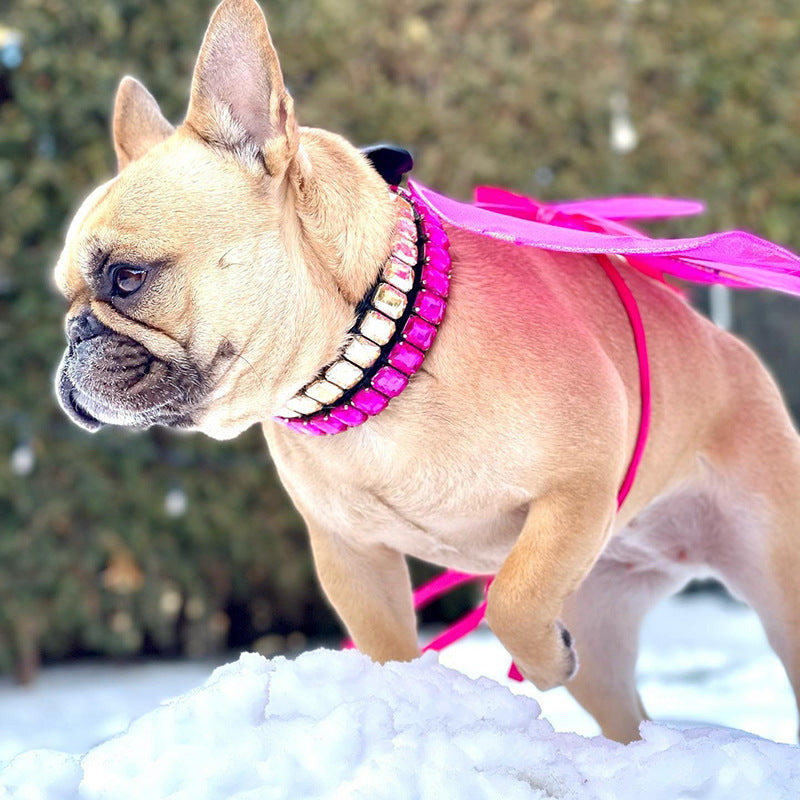French Bulldog Luxury ID Collar for Brachycephalic Dogs-fadou