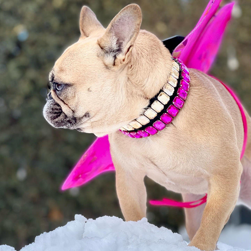 French Bulldog Luxury ID Collar for Brachycephalic Dogs-fadou