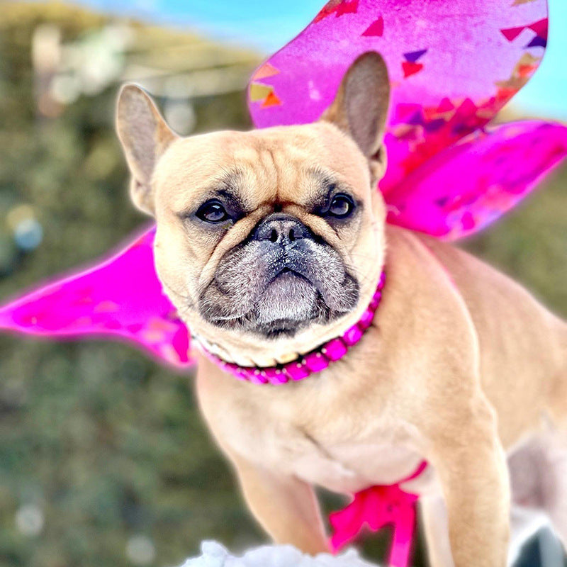 French Bulldog Luxury ID Collar for Brachycephalic Dogs-fadou