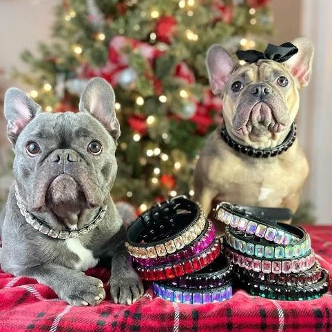 French Bulldog Luxury ID Collar for Brachycephalic Dogs-fadou