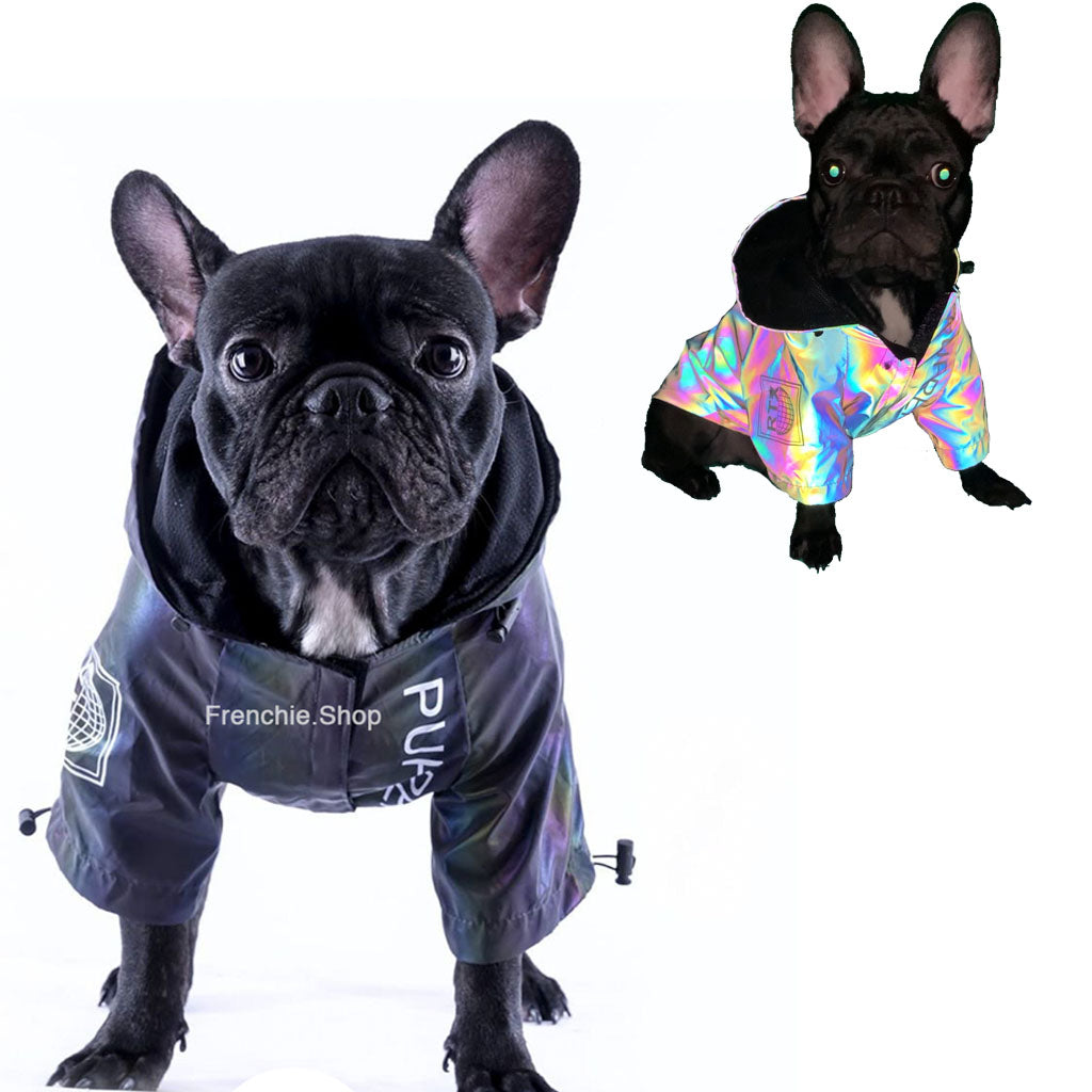 French Bulldog Reflective Dog Coat for Training Sessions-fadou
