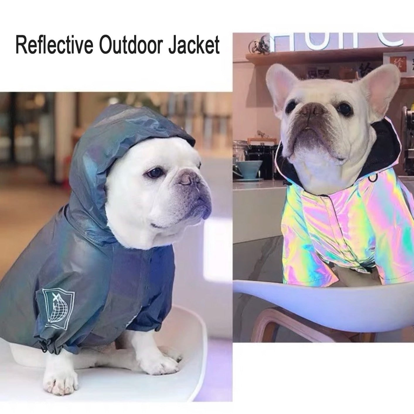 French Bulldog Reflective Dog Coat for Training Sessions-fadou