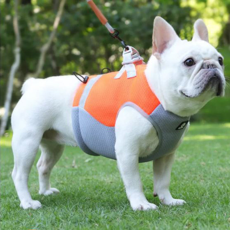 French Bulldog Reflective Item for Frenchie Enthusiasts-fadou